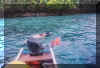 Snorkeling 1.jpg (64485 bytes)